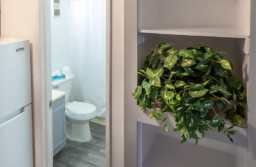 Charleston Apartments in Las Vegas