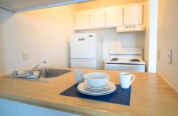 Swenson apartments Las Vegas