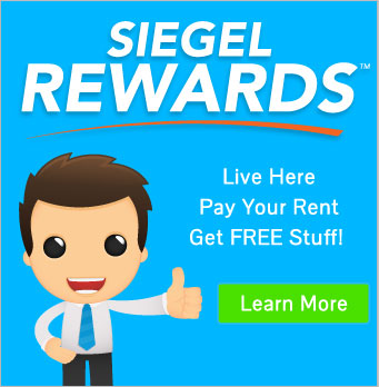 Siegel Rewards!